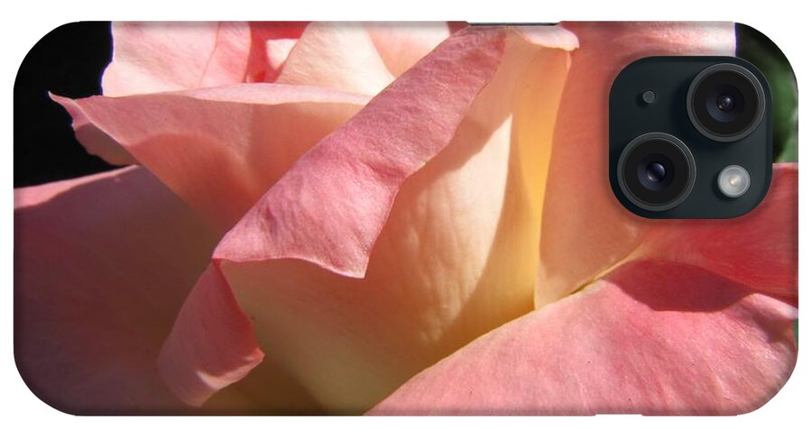 Rose iPhone Case featuring the photograph Victorian Beauty by Jennifer Wheatley Wolf