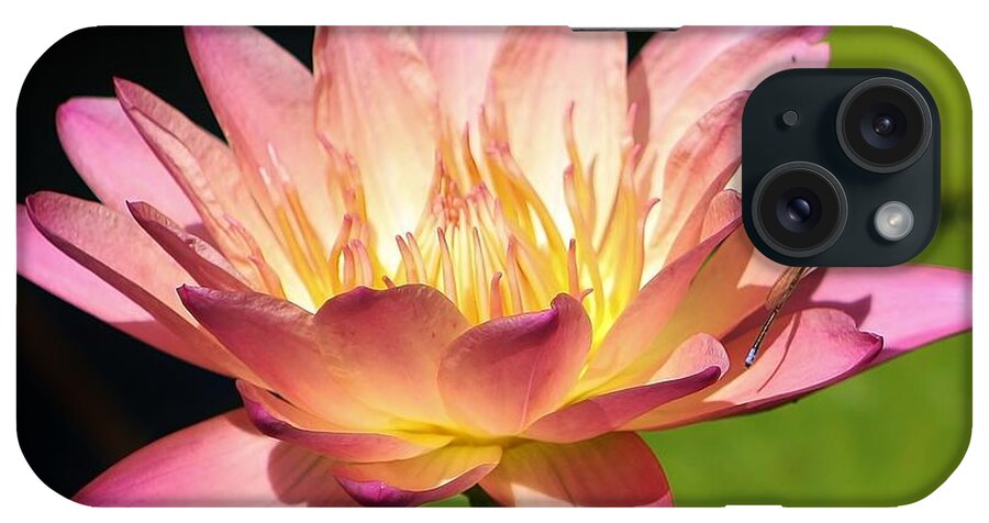 Nature iPhone Case featuring the photograph Victorian Waterliliy by Bruce Bley