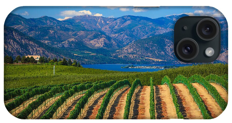 America iPhone Case featuring the photograph Vineyard in the Mountains by Inge Johnsson