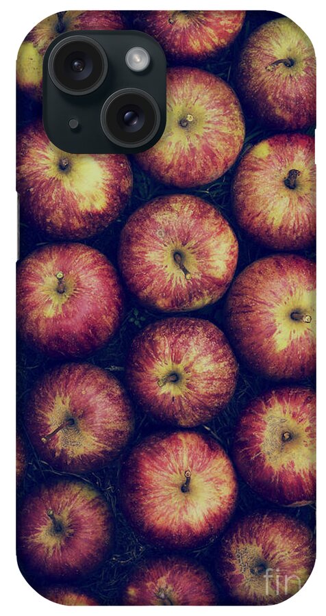 Vintage iPhone Case featuring the photograph Vintage Apples by Tim Gainey
