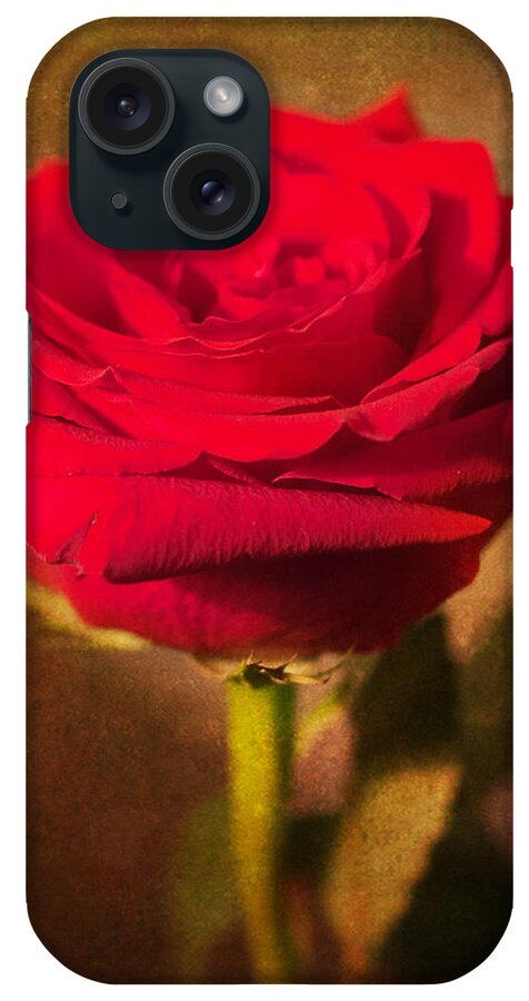 Rose iPhone Case featuring the photograph Vintage Beauty by Jeff Mize