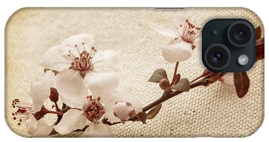 Blossoms iPhone Case featuring the photograph Vintage Blossoms by Caitlyn Grasso
