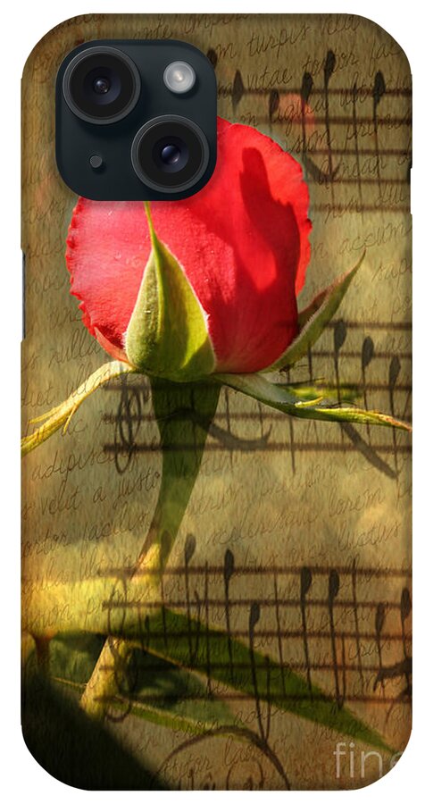 Rose iPhone Case featuring the photograph Vintage Love Story Symphony by Judy Palkimas
