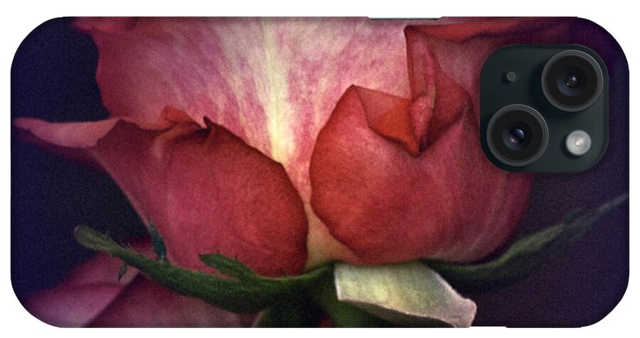 Rose iPhone Case featuring the photograph Vintage Rose Study by Richard Cummings