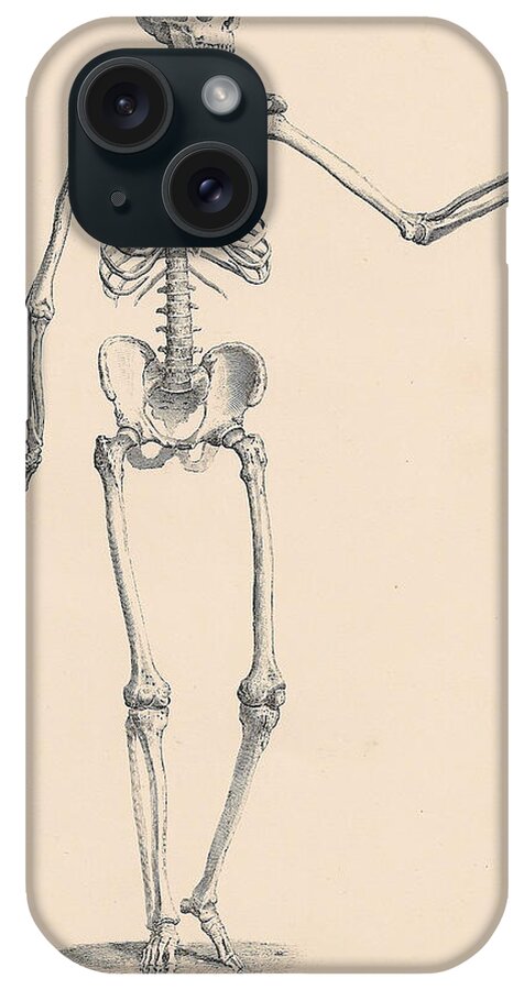 Vintage iPhone Case featuring the digital art Vintage Skeleton by Georgia Clare