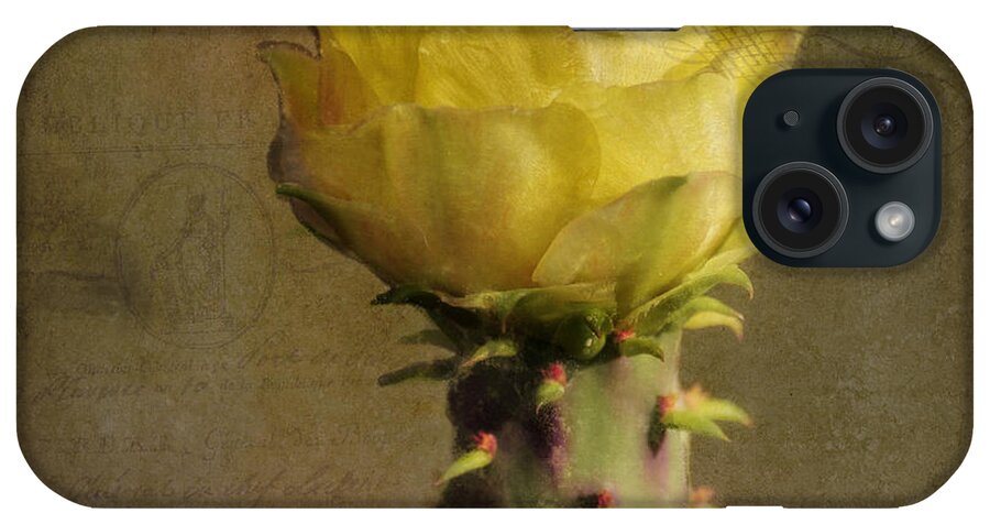 Sandra Selle Rodriguez iPhone Case featuring the photograph Vintage Yellow Cactus by Sandra Selle Rodriguez