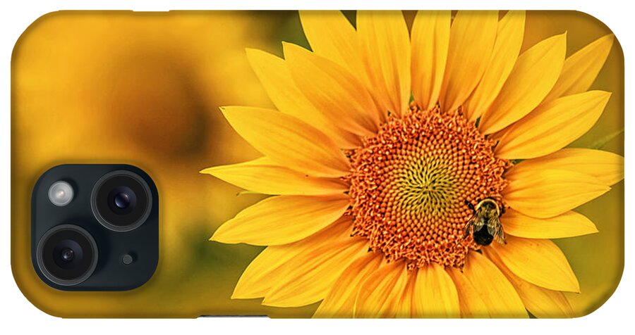 Visions Of Summer iPhone Case featuring the photograph Visions of Summer by Carolyn Derstine