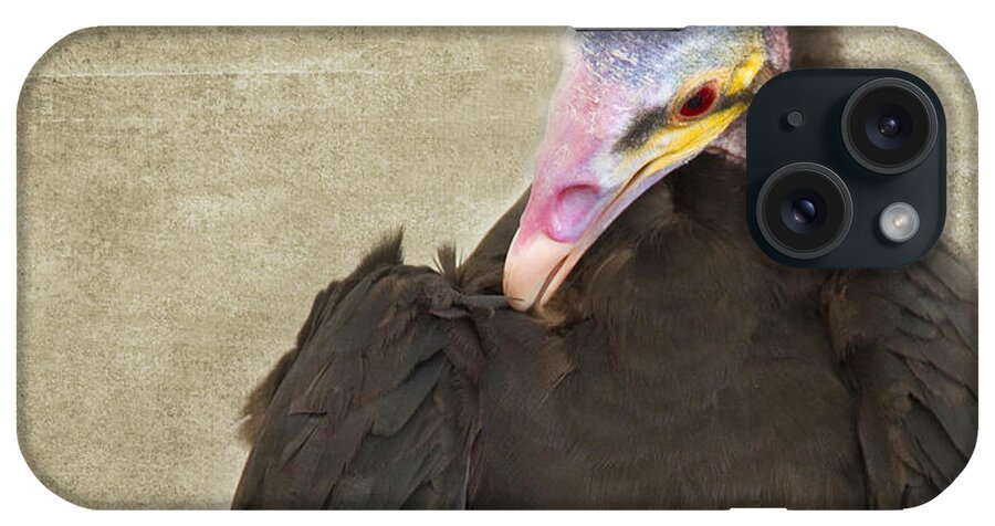 Colorful iPhone Case featuring the photograph Vulture by Rebecca Cozart