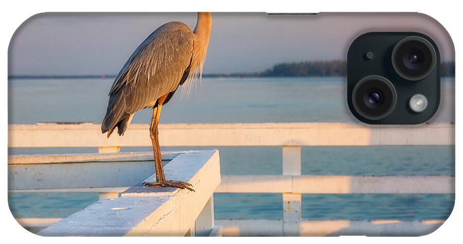 Heron iPhone Case featuring the photograph Waiting for the Fishing Boats to Arrive by Darylann Leonard Photography
