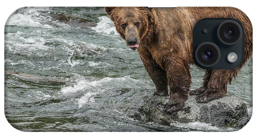 Alaska iPhone Case featuring the photograph Waiting for the Right Moment by Joan Wallner