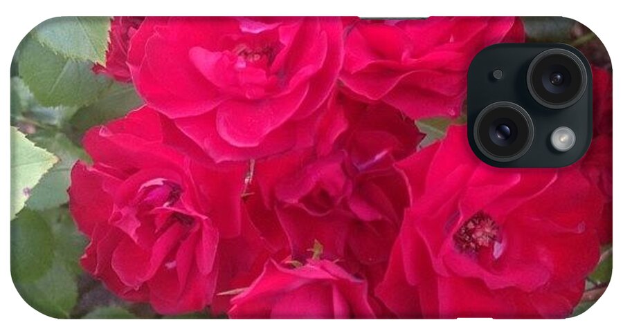 Life iPhone Case featuring the photograph Wake Up And... #lifeuponcanvas #flowers by Gerald Arthur