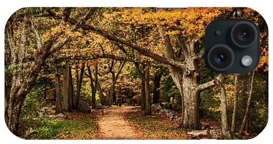 Autumn Foliage New England iPhone Case featuring the photograph Walk in the woods by Jeff Folger