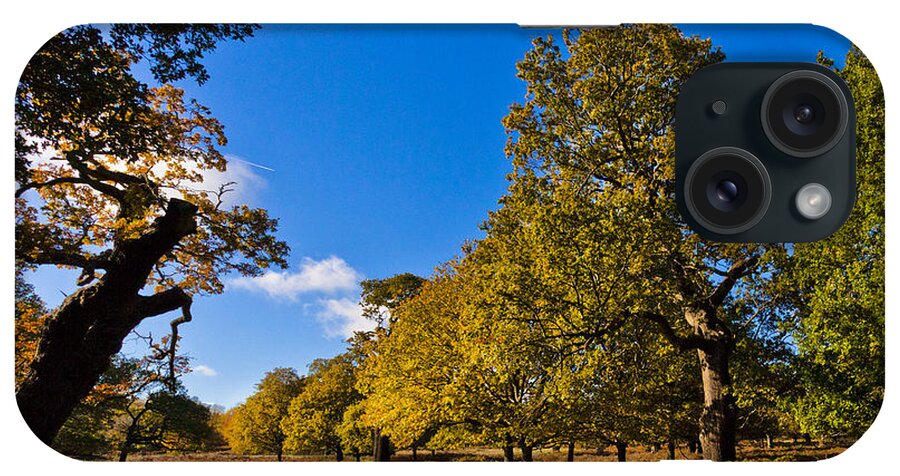 Richmond Park iPhone Case featuring the photograph Walking Path by Maj Seda