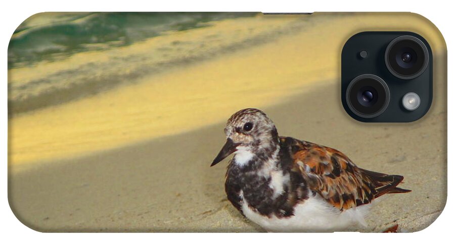 Sandy iPhone Case featuring the photograph Walking Tall by Capt Pat Moran
