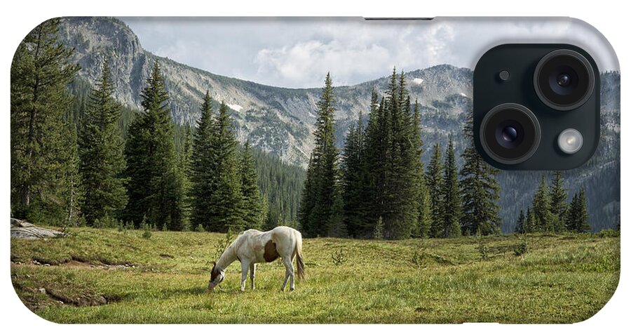 Wallowa iPhone Case featuring the photograph Wallowas - No. 2 by Belinda Greb