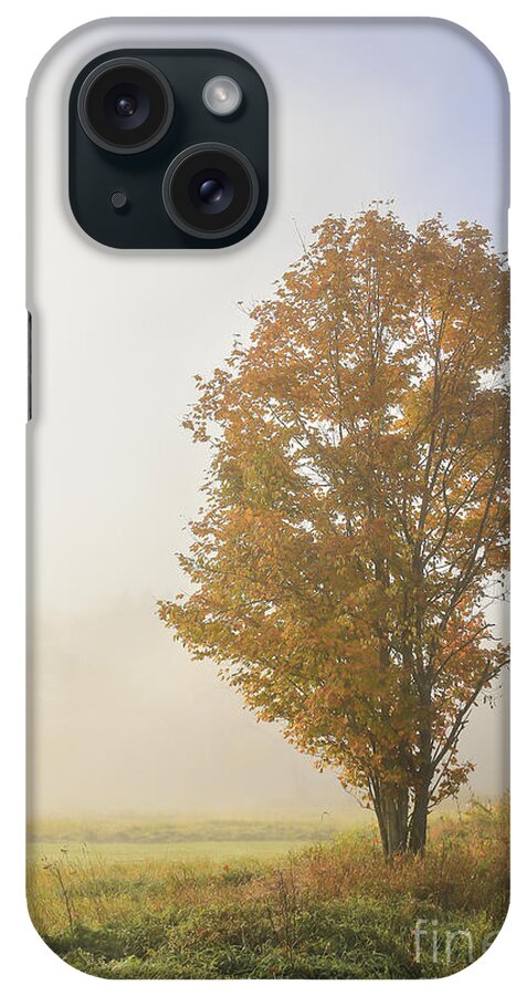 Ithaca iPhone Case featuring the photograph Warmth by Evelina Kremsdorf
