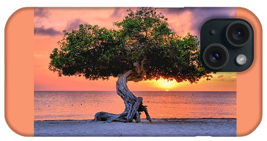 Tree iPhone Case featuring the photograph Watapana Tree - Aruba by DJ Florek
