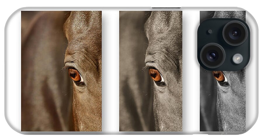 Nature iPhone Case featuring the photograph Watchful Triptych by Michelle Twohig