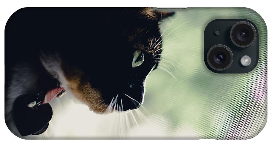 Snickers iPhone Case featuring the photograph Watching and Waiting by Off The Beaten Path Photography - Andrew Alexander