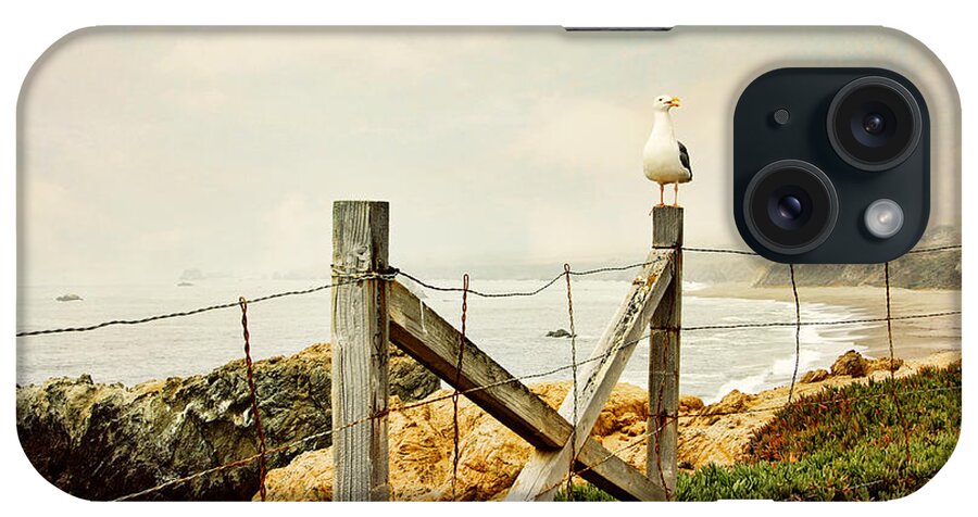 California iPhone Case featuring the photograph Watching and waiting by Sylvia Cook