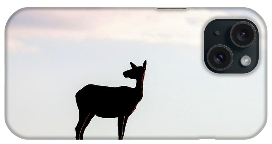 Elk iPhone Case featuring the Watching by Donald J Gray