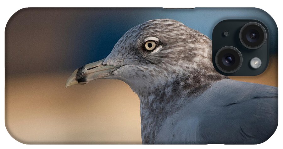 Gull iPhone Case featuring the photograph Watching the Port by WB Johnston