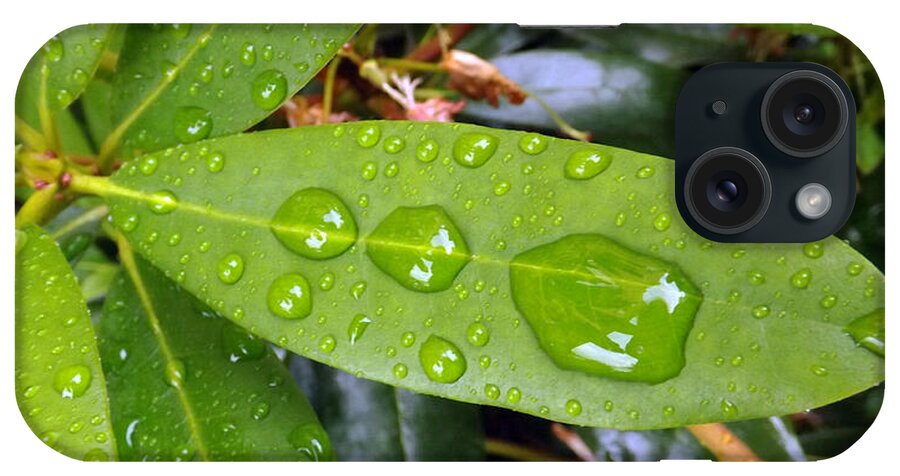 Water iPhone Case featuring the photograph Water Droplets On Leaf by Joyce Wasser