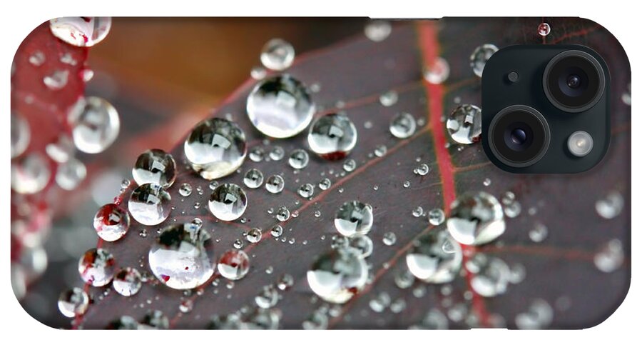 Water iPhone Case featuring the photograph Water drops on Cotinus by Simon Bratt