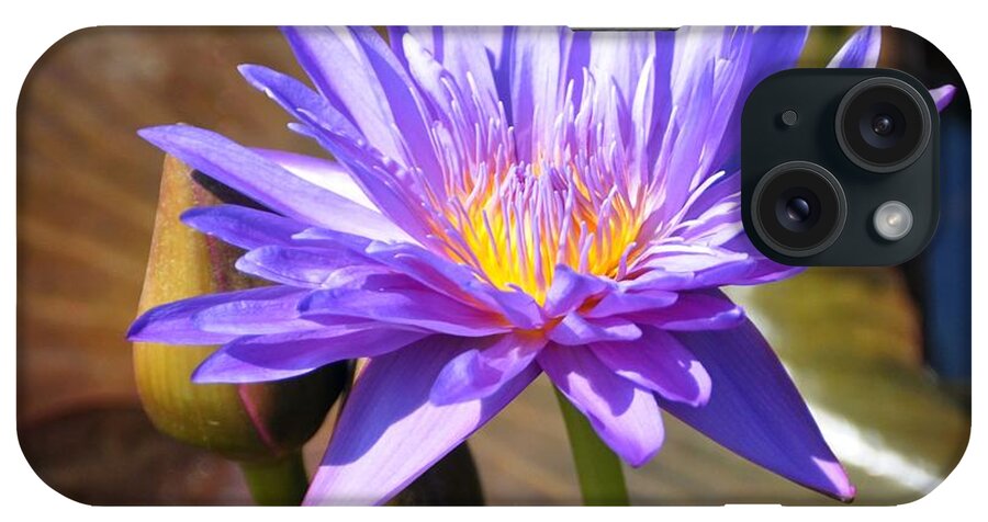 Flower iPhone Case featuring the photograph Water Flower 1004d by Marty Koch