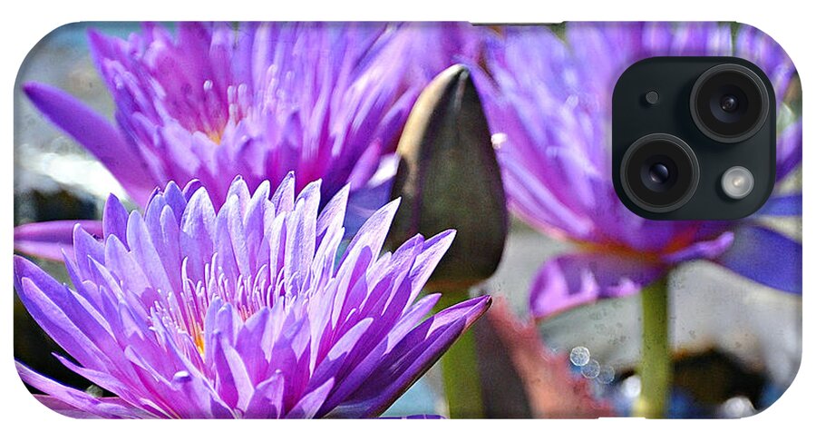Flower iPhone Case featuring the photograph Water Flower 1006 by Marty Koch