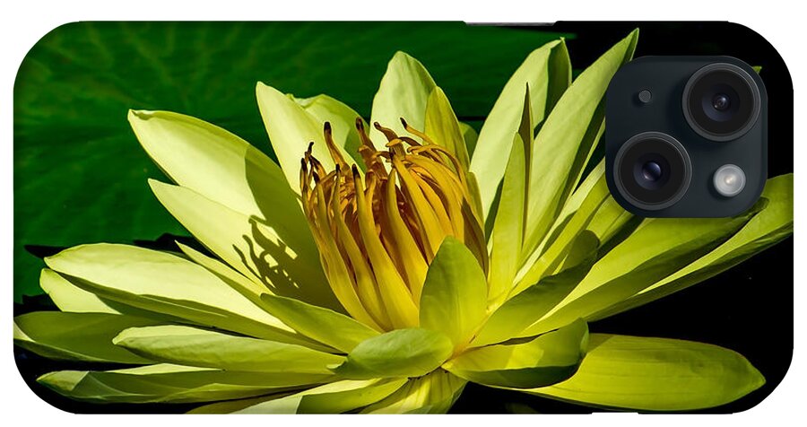Aquatic iPhone Case featuring the photograph Water Lily 2014-14 by Nick Zelinsky Jr