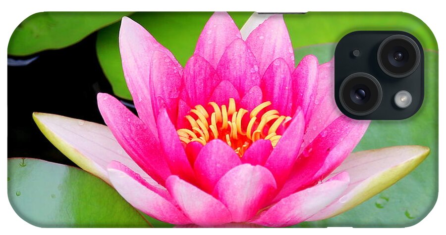 Blossom iPhone Case featuring the photograph Water lily by Amanda Mohler