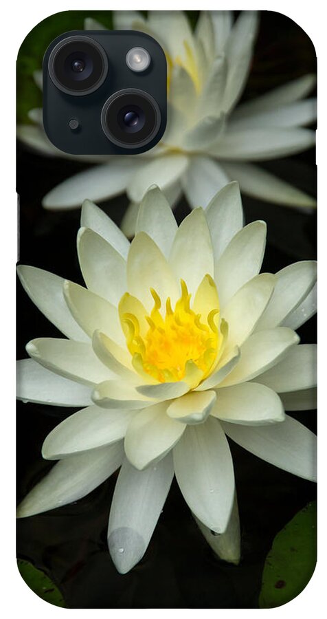 Water Lily iPhone Case featuring the photograph Water Lily by Jemmy Archer