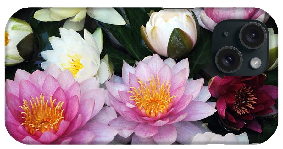  iPhone Case featuring the photograph Water Lily Series -2 by Haleh Mahbod