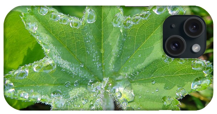 Waterdrops iPhone Case featuring the photograph Waterdrops like diamonds by Karin Ravasio