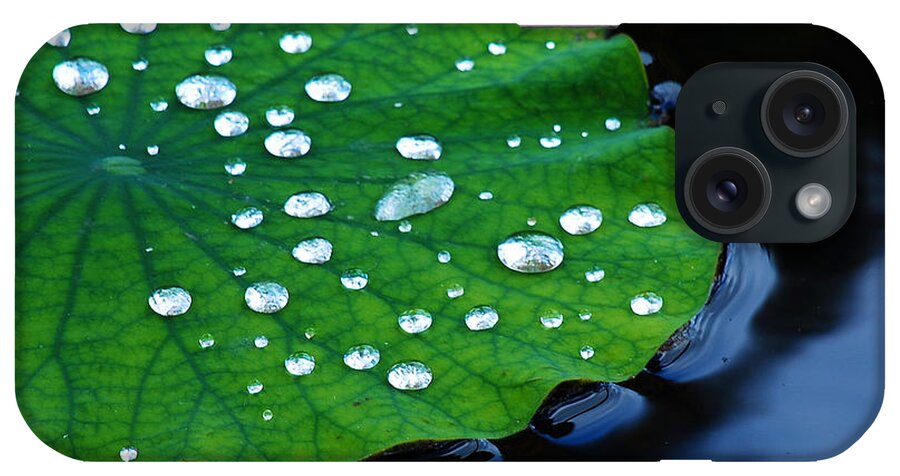 Water iPhone Case featuring the photograph Waterdrops on Lilypad by Nancy Mueller
