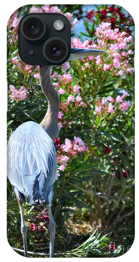 Great Blue Heron iPhone Case featuring the photograph Waters Edge by Deb Halloran
