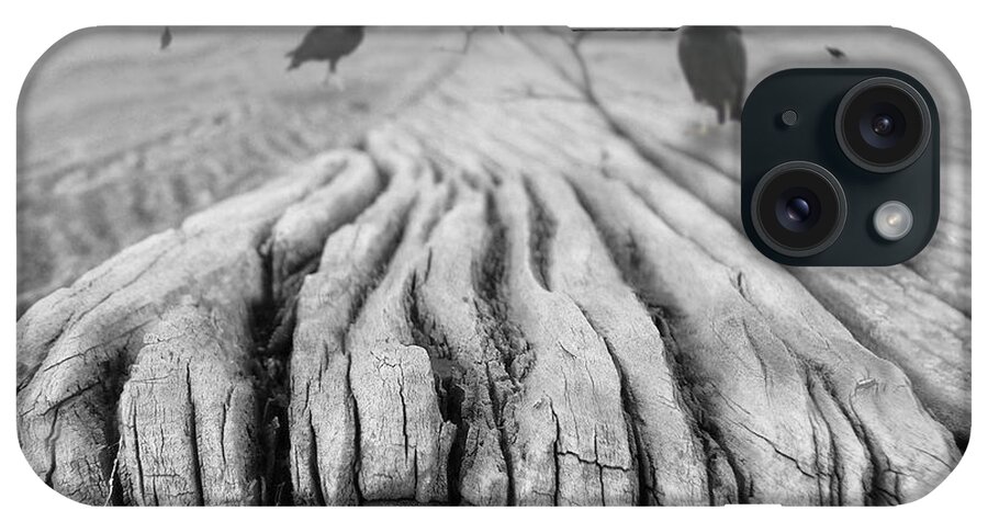 Surrealism iPhone Case featuring the photograph Weathered 3 by Mike McGlothlen