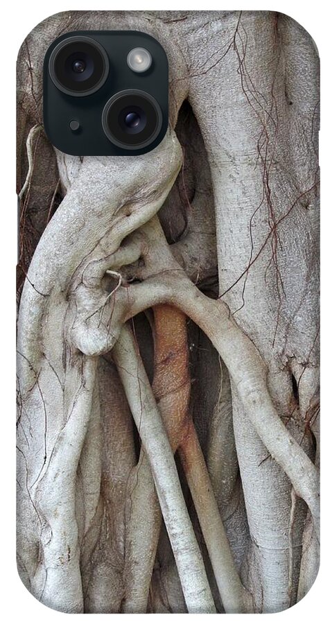 Banyan Trees iPhone Case featuring the digital art Weaving Nature by Maria Huntley