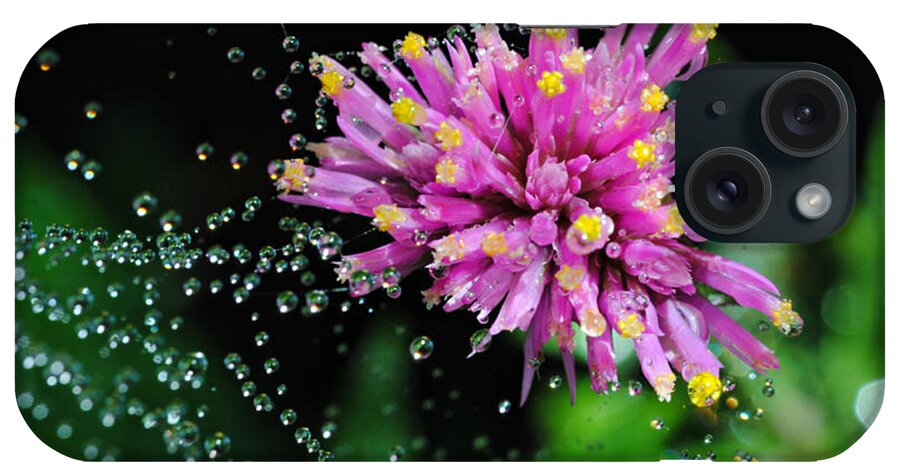 Flower iPhone Case featuring the photograph Webbed Water Droplets by Kelly Nowak