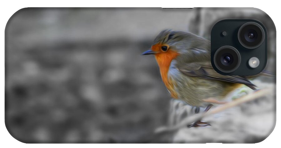 Robin iPhone Case featuring the photograph Wee Robin by Veli Bariskan
