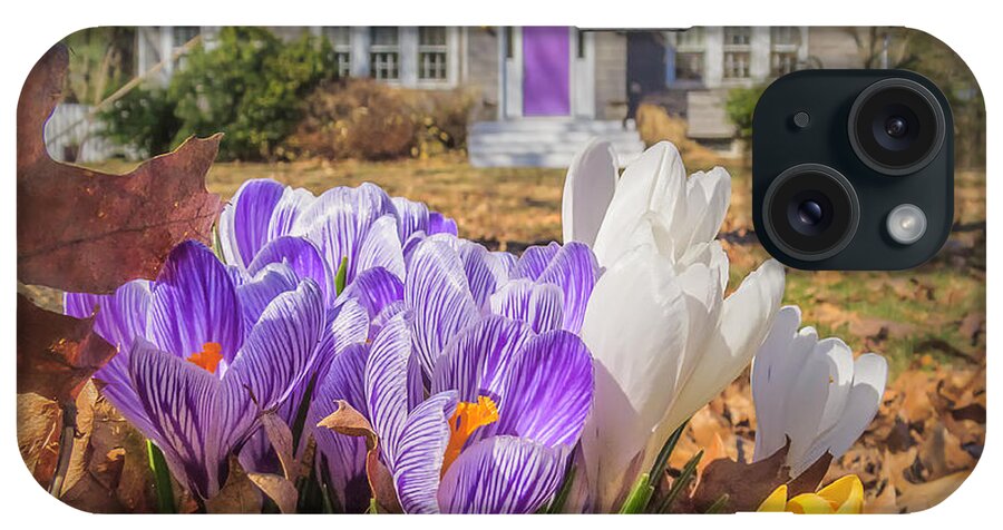 Concord iPhone Case featuring the photograph Welcome mat of Spring crocuses by Sylvia J Zarco