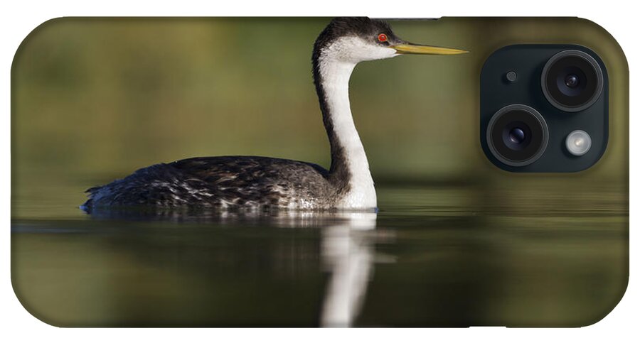 Western Grebe iPhone Case featuring the photograph Western grebe by Bryan Keil