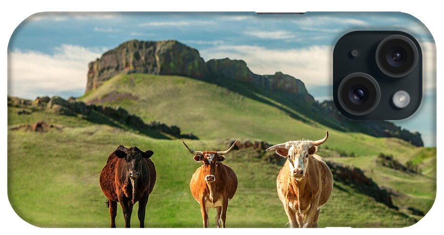 Cattle iPhone Case featuring the photograph Western Longhorns by Todd Klassy