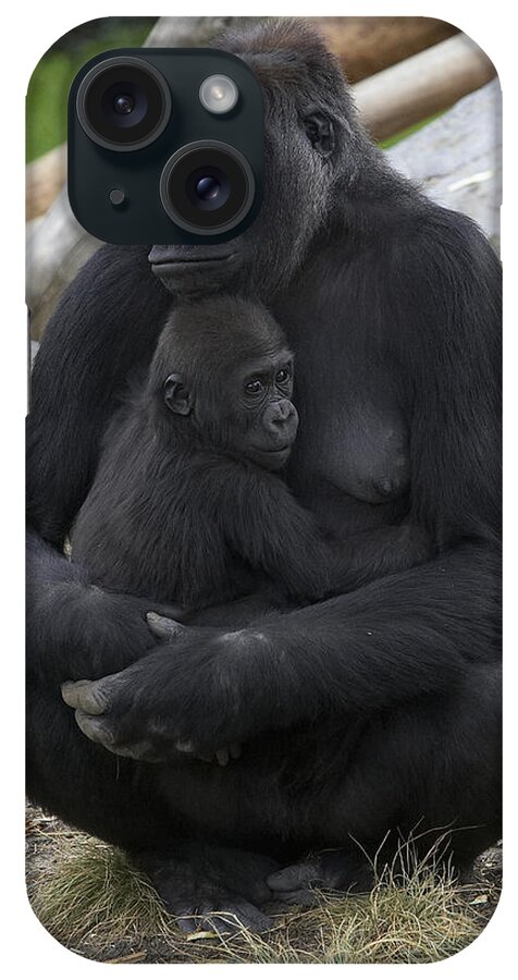 Feb0514 iPhone Case featuring the photograph Western Lowland Gorilla Mother And Baby by San Diego Zoo