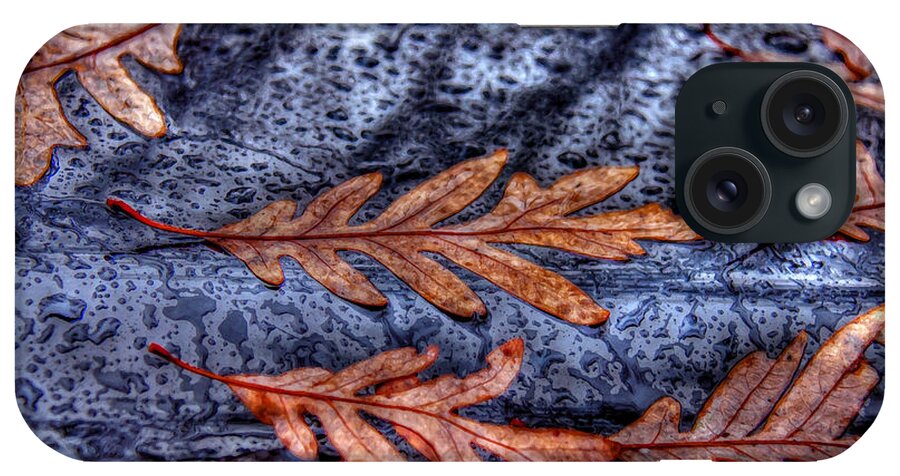 Raindrop iPhone Case featuring the photograph Wet leaves and raindrops Dry Brush by Andy Lawless