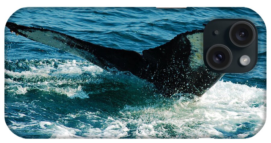 Whale iPhone Case featuring the photograph Whale Tail 2 by Ron Haist