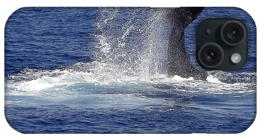 Whale Tail iPhone Case featuring the photograph Whale Tale Splash by Penny Lisowski