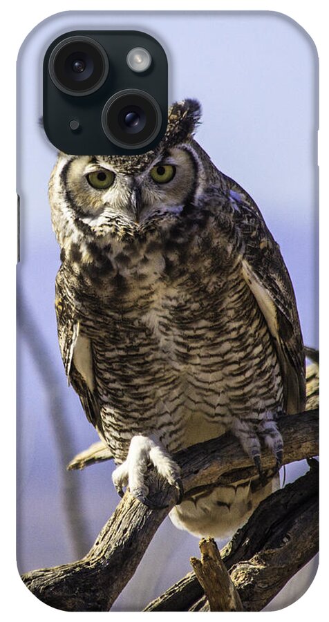 Great Horned Owl iPhone Case featuring the photograph What by Mike Stephens