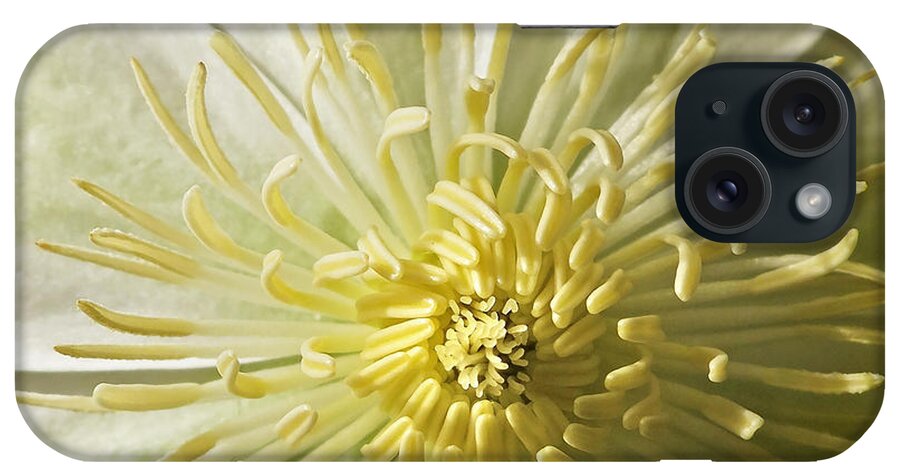 Floral iPhone Case featuring the photograph What the Bee Sees by Deborah Smith
